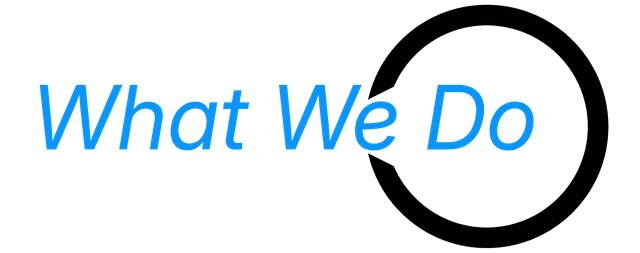 What We Do